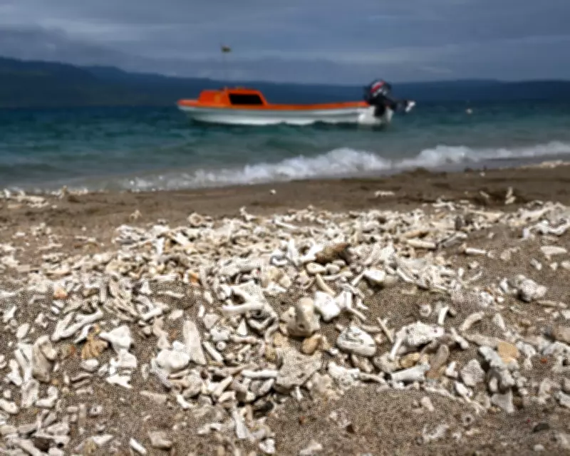 UN Climate Resolution Signals Growing Political Momentum, Experts Say