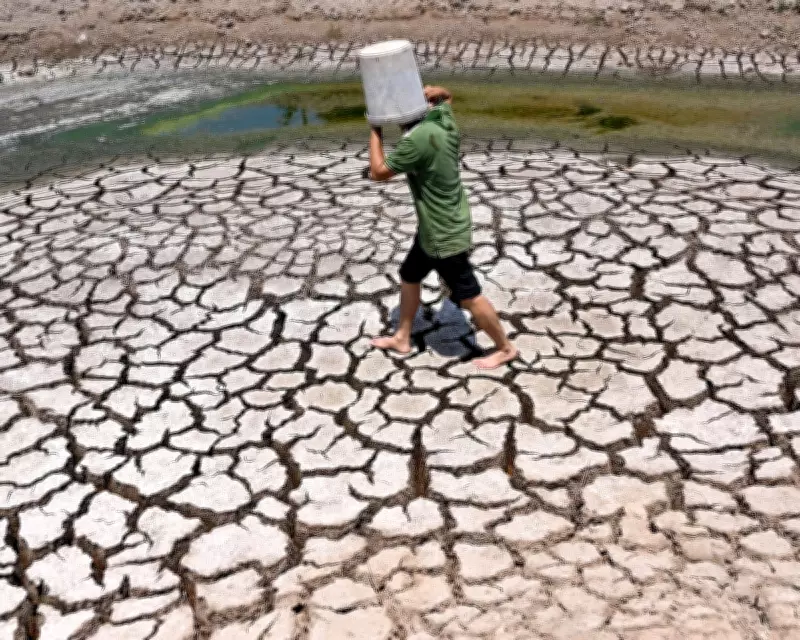 UN Warns Record Hot Year Almost Certain by 2030 as Climate Crisis Intensifies