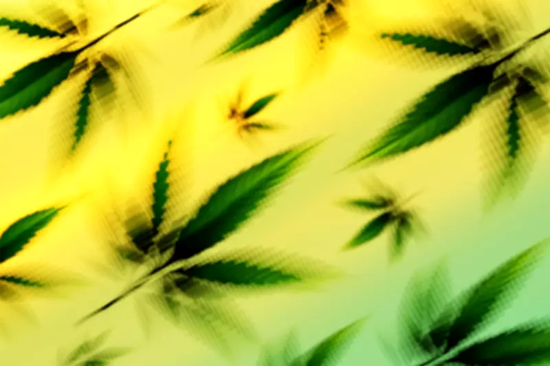 US Hemp Ban Threatens CBD Products and Medicare Pilot Program
