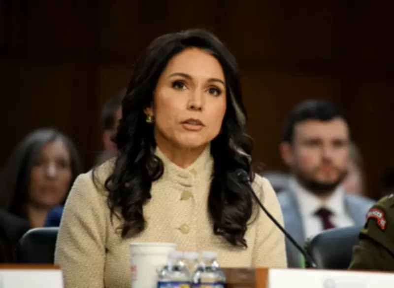 US Intelligence Director Tulsi Gabbard Resigns After Rocky Tenure