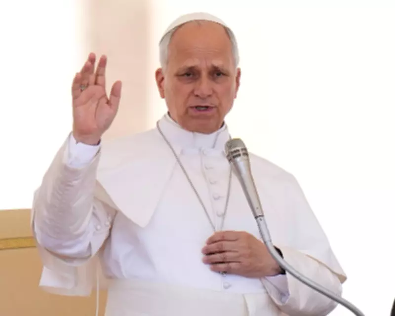 US Views Divided on Pope Leo XIV's Call to Slow AI Development