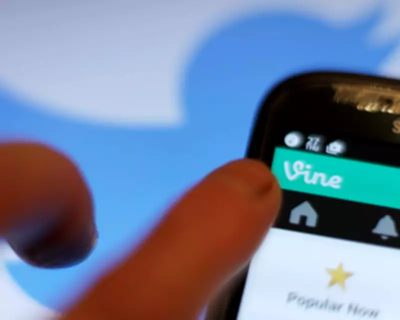 Vine Returns as Divine: A Human-Made Video App Battling AI Slop