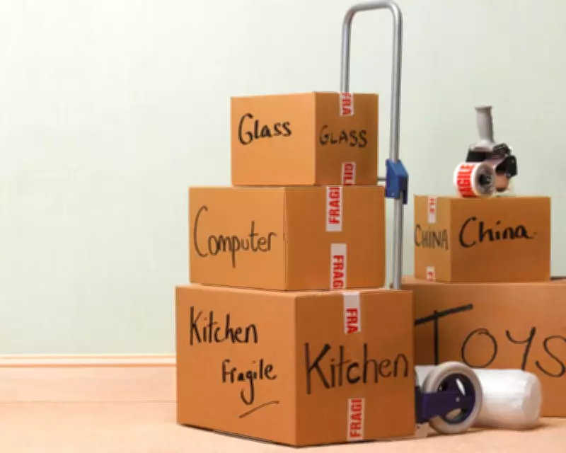 What Makes a Place a Home? A Cat's Move Offers Insight