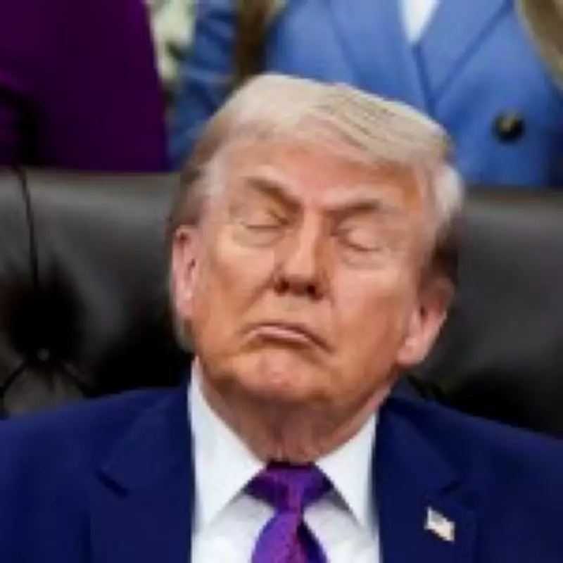 White House Hits Back at Claims Trump 'Fell Asleep' During Meeting