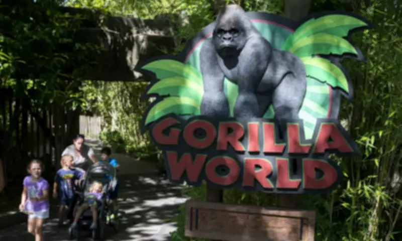White House Marks 10th Anniversary of Harambe's Death with Bizarre Tribute