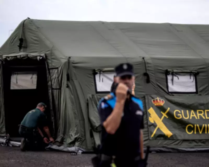 WHO Chief Assures Tenerife Hantavirus Risk Is Low as Ship Docks