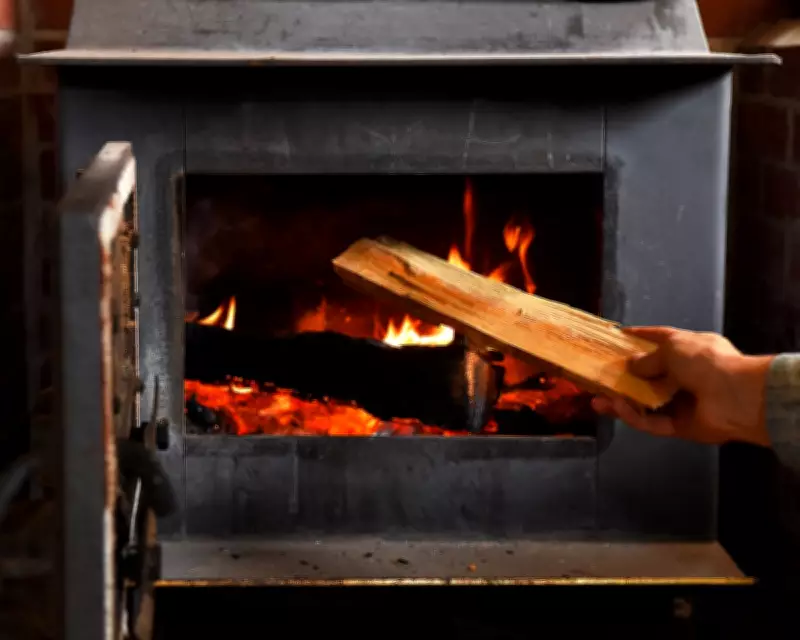 Wood Burning Reintroduces Lead Pollution into Air, US Scientists Find
