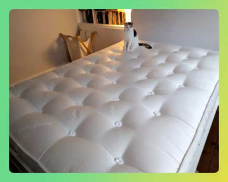 Wool Mattress Review: Five Months of Improved Sleep and Sustainable Comfort