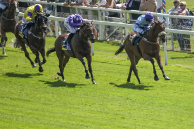 York Dante Festival: Rousing Encore, Cool Hoof Luke, and Stressfree Selections