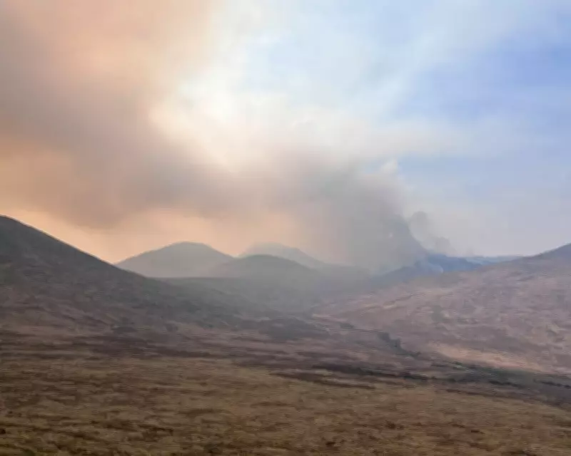 Young Country Diary: Mourne Mountains Fire Sees Flames and Smoke