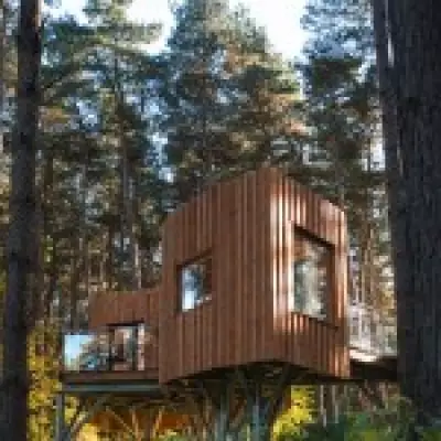 Cotswolds Treehouse Retreat: Stress Relief and Better Sleep in Nature