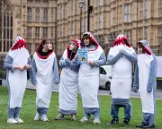 52,000 Graduates Report Student Loan 'Horror Stories' to MPs' Inquiry
