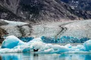 Alaska Mega Tsunami Highlights Growing Risk to Cruise Ships from Glacier Retreat