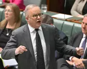 Albanese Pushes Forward with Labor Budget Tax Reform Plans