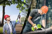 Amazon's Top Cordless Chainsaws for Pruning Your Garden