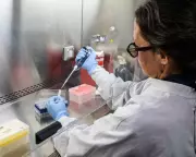 Argentina Investigates Hantavirus Outbreak on Cruise Ship as Passengers Return Home