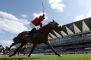 Ascot Quits Racecourse Association Over Governance Concerns
