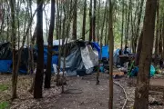 Australia Homelessness Crisis: 14 Die Yearly in Parks, Baby Death Sparks Outrage