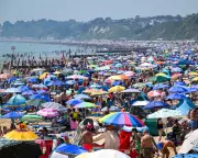 Beach Shade Wars: Oversized Canopies Spark Global Conflict