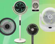 Best Fans 2026: Tried and Tested Models to Beat the Heat