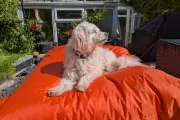 Big Bertha: Ultimate Outdoor Bean Bag for Comfortable Garden Seating