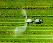 Breaking Free from Oil: Alternatives to Petrochemicals in Daily Life