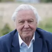Calls to Rename South London Tube Station After David Attenborough