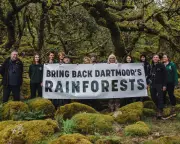 Campaign to Double England's Temperate Rainforest Launches on Dartmoor