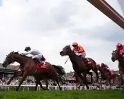 Chester Cup Rescue: Ground Repairs Save May Festival After Slipping Chaos