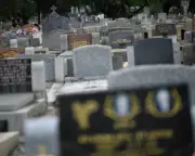 Death, Taxes, and Scare Campaigns: Truth About Labor's Budget Changes