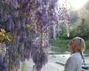 Embrace Adulthood: Wisteria, Laundry, and Cantankerous Joys