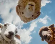 From Sheep Detectives to Rivals: Your Weekly Entertainment Guide