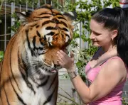 Germany's 'Tiger Queen' Under Investigation After Deadly Escape