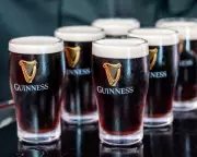 Guinness vs Guinness 0: Blind Taste Test Reveals Surprising Results
