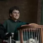Harry Potter TV Show Microchips Props After Thefts on Set