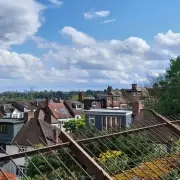 Hidden London Walk with Best Views Perfect for Nature Lovers This Bank Holiday