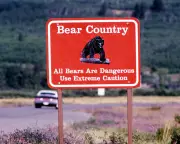 Hiker Dead in Apparent Bear Attack at Glacier National Park, First Since 1998