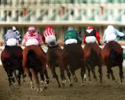 Horse Racing Faces Green Party Challenges but Welfare Efforts Continue