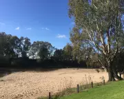 Infant Found Dead in Homeless Camp at Australian Beach