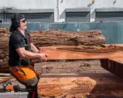 Inside Tipping Point East: London's Largest Hub Rescuing Building Materials from Landfill