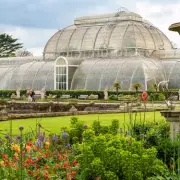 Kew Gardens Named UK's Best Spring Garden with 50,000 Plants