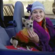 Legally Blonde: Why That 'Balls' Joke Made Me Laugh for 5 Days
