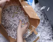 Letters: Shredding, Utilities, Voting, Bus Seats, and Shirley Porter