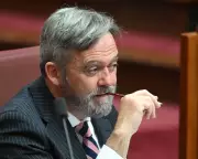 Liberal Senator Breaks Ranks Criticizing Taylor's Welfare Plan for Non-Citizens