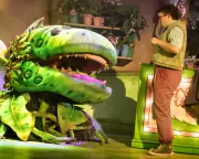 Little Shop of Horrors Review: A Mixed Bouquet of Kooky Romance and B-Movie Fun
