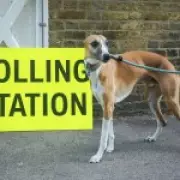 Local Elections: Are Voters Fed Up With Empty Promises?