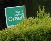 Local Elections: Green Party Urges Careful Voting, Not Protest Votes