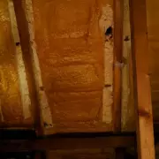 London gran trapped in home after £13k rogue insulation job leaves £20k bill