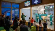 London Zoo Unveils £20M Wildlife Health Centre for Bicentenary