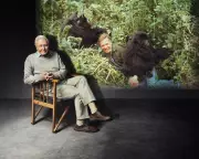 Making Life on Earth: Attenborough's Greatest Adventure Review – A Joyful Retrospective